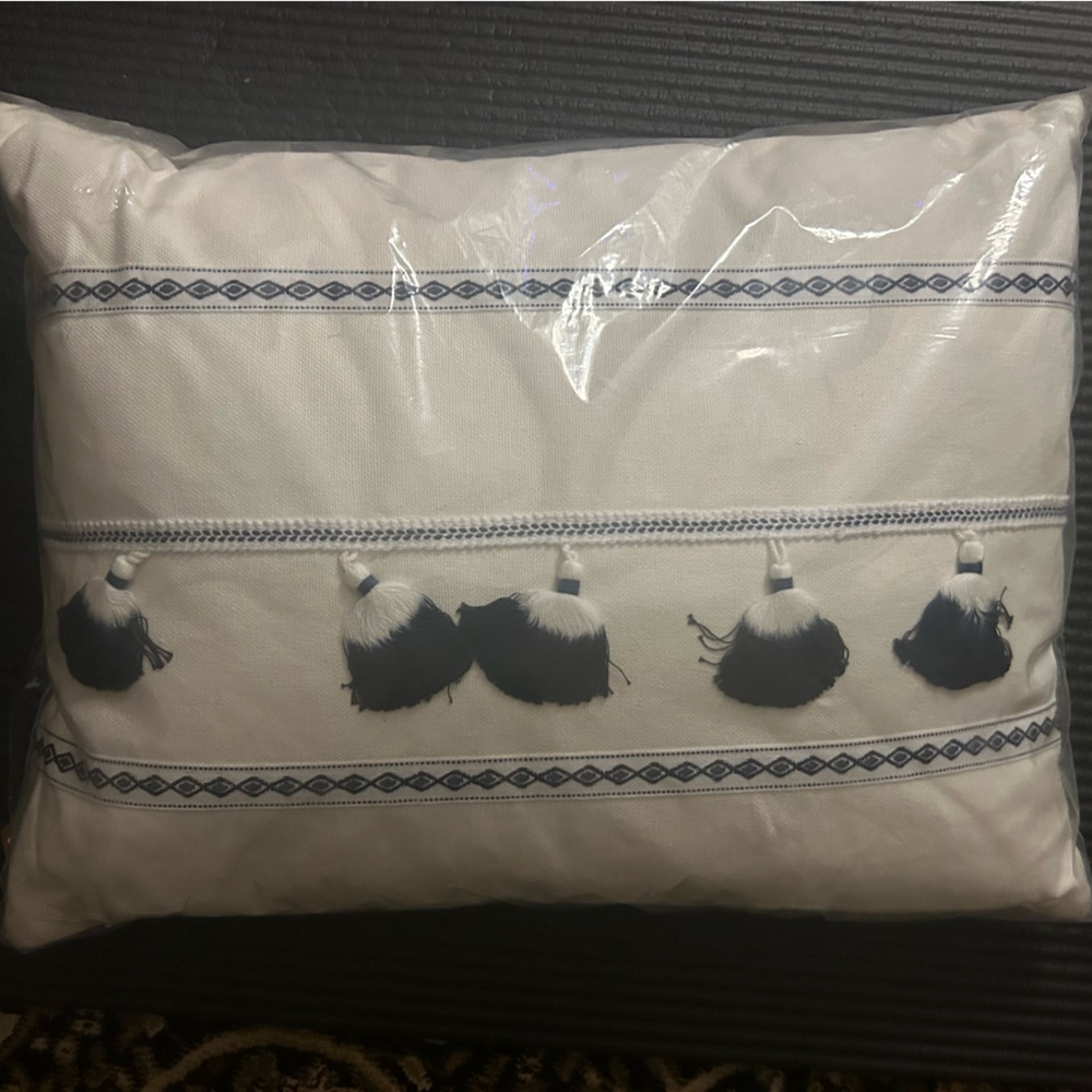 Decorative pillow w dip dye tassels